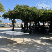 фото из отзыва ID 2705117