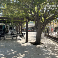 фото из отзыва ID 2705117