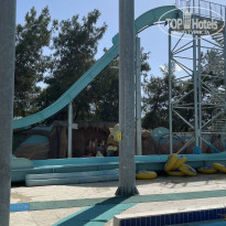 фото из отзыва ID 2705117