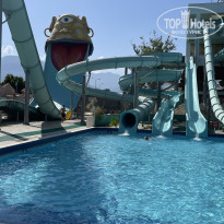 фото из отзыва ID 2705117