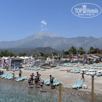 фото из отзыва ID 2705117