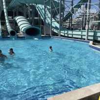 фото из отзыва ID 2705117