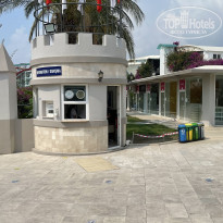 фото из отзыва ID 2705117