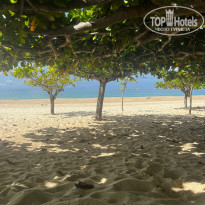 фото из отзыва ID 2706377