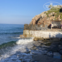 фото из отзыва ID 2706441