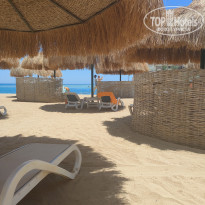 фото из отзыва ID 2706462