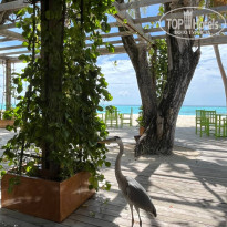 фото из отзыва ID 2706449