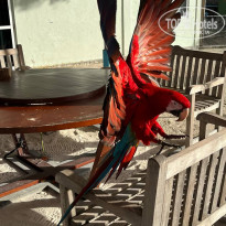 фото из отзыва ID 2706449