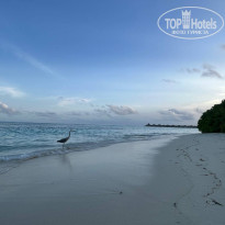 фото из отзыва ID 2706449