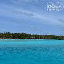 фото из отзыва ID 2706449