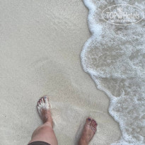 фото из отзыва ID 2706449