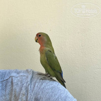 фото из отзыва ID 2706449