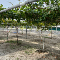 фото из отзыва ID 2706449