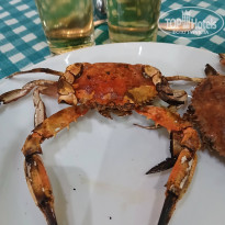 фото из отзыва ID 2706475