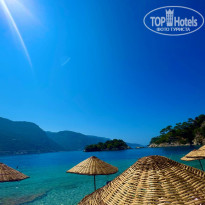 фото из отзыва ID 2706516