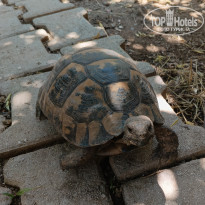 фото из отзыва ID 2706530