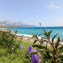 фото из отзыва ID 2706530