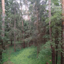 фото из отзыва ID 2706553