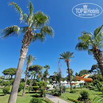 фото из отзыва ID 2706559