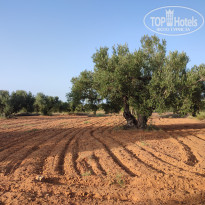 фото из отзыва ID 2705843