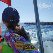 фото из отзыва ID 2705843