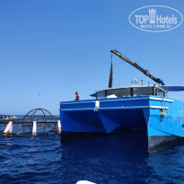 фото из отзыва ID 2705843