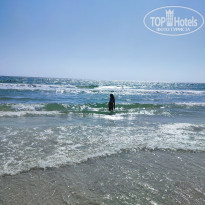 фото из отзыва ID 2705843