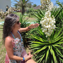 фото из отзыва ID 2705843