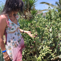 фото из отзыва ID 2705843