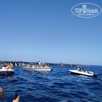 фото из отзыва ID 2705843