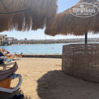 фото из отзыва ID 2706566