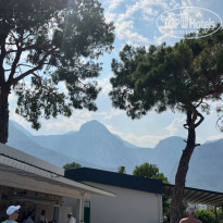 фото из отзыва ID 2706582