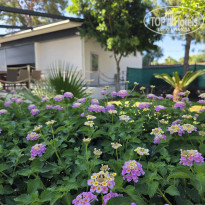 фото из отзыва ID 2706582