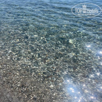 фото из отзыва ID 2706582