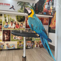 фото из отзыва ID 2706595