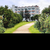 фото из отзыва ID 2706620