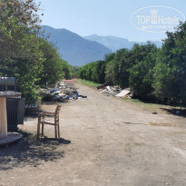 фото из отзыва ID 2706620