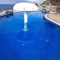 фото из отзыва ID 2706640