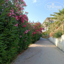 фото из отзыва ID 2706744