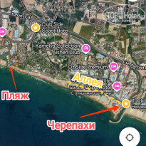 фото из отзыва ID 2706744