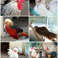 фото из отзыва ID 2706744