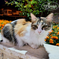 фото из отзыва ID 2706744