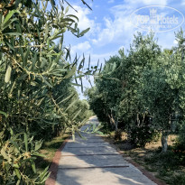 фото из отзыва ID 2706804