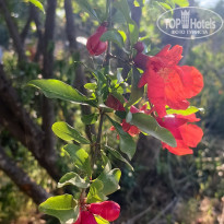 фото из отзыва ID 2706804