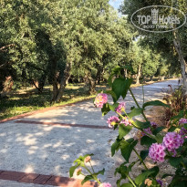 фото из отзыва ID 2706804