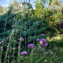 фото из отзыва ID 2706804