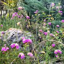 фото из отзыва ID 2706804