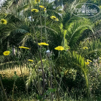 фото из отзыва ID 2706804