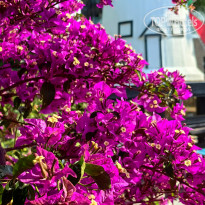 фото из отзыва ID 2706804