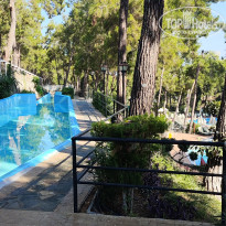 фото из отзыва ID 2706816